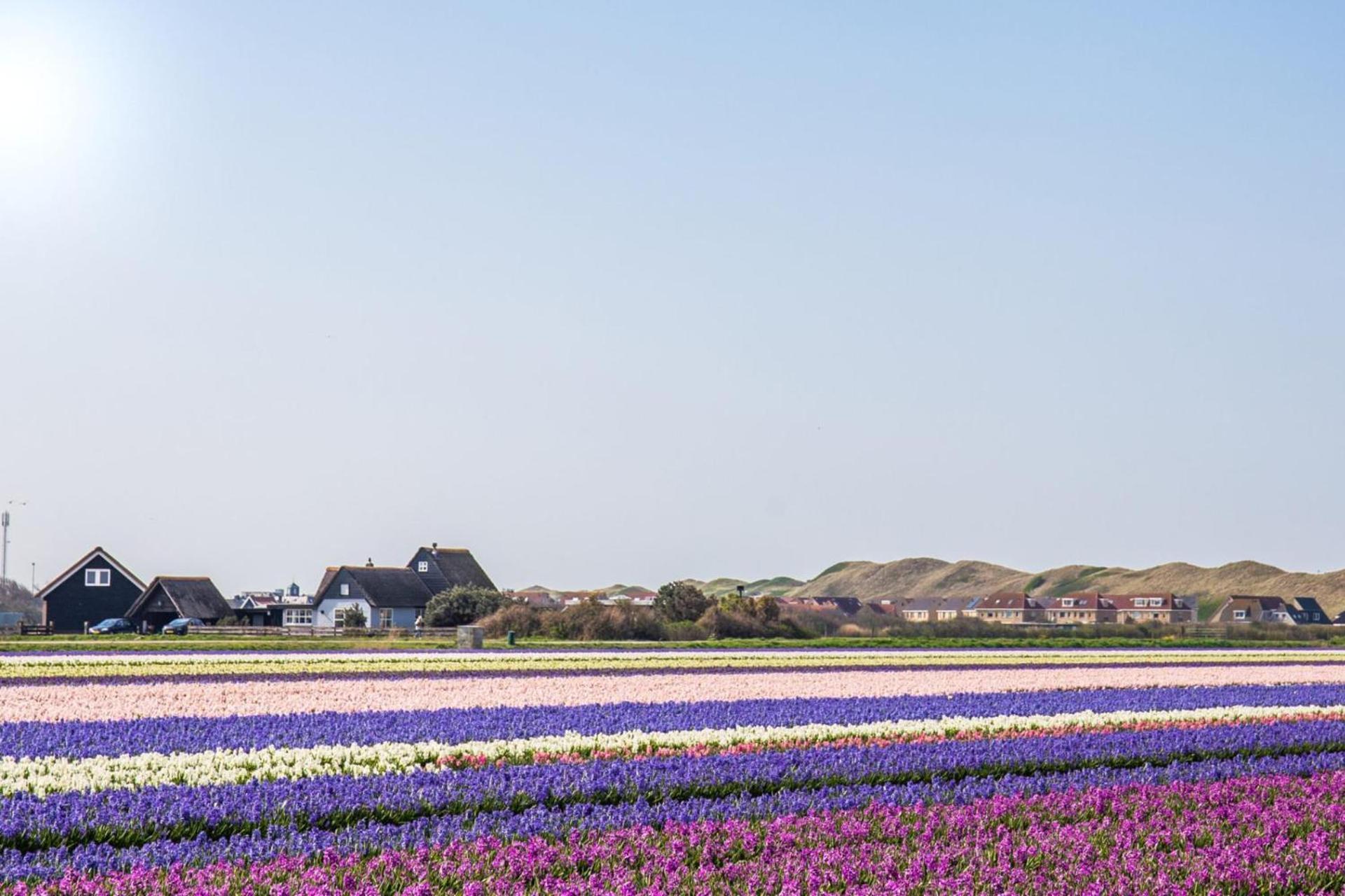 Vakantiehuis Beau - Julianadorp Aan Zee Exterior photo